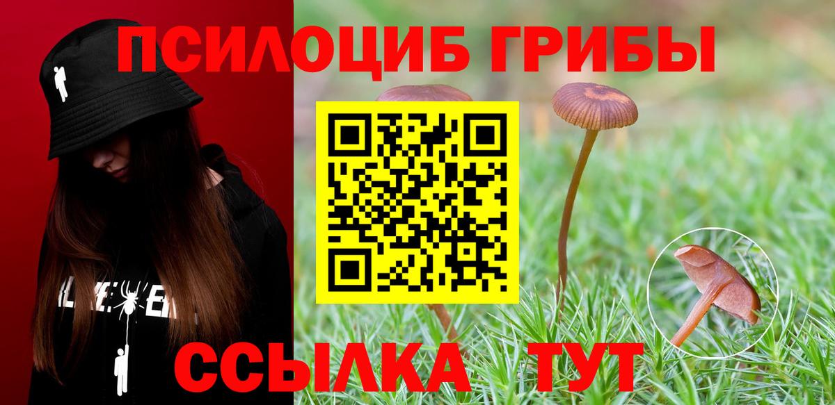 Галлюциногенные грибы мухоморы Великие Луки