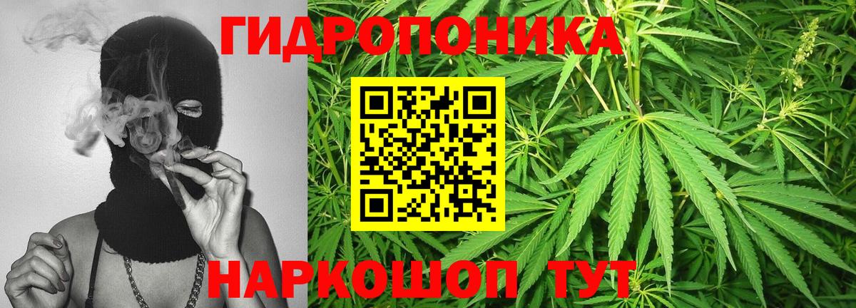 Каннабис тримм  МАРИХУАНА Amnesia  Канабис планчик  Великие Луки  Вход с VPN  Конопля Bruce Banner 
